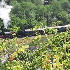 Swanage Railway Steam Train